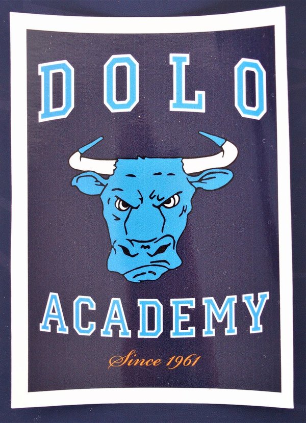 Autocollant Bleu Dolo Academy